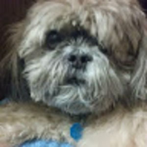 Meet your Posher, Gerry